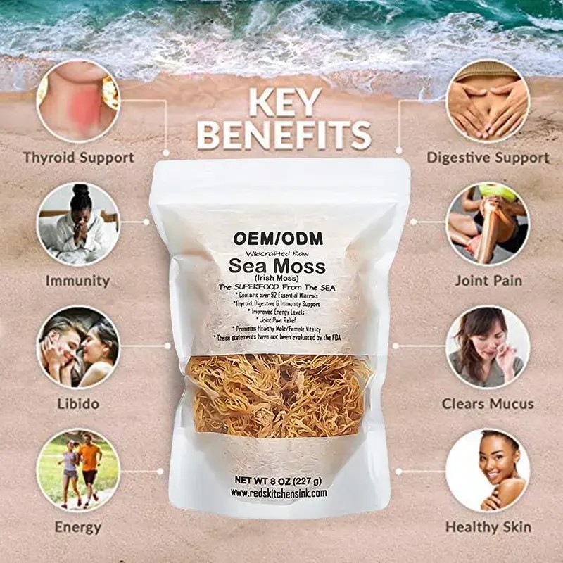 Irish Moss Gummy Manufacturer - Factory Direct Private Label Sea Moss Gel