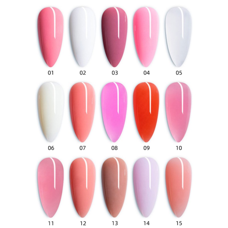 Nail Extension Kit Supplier - Professional Starter Kit Builder Gel 5kg Weight