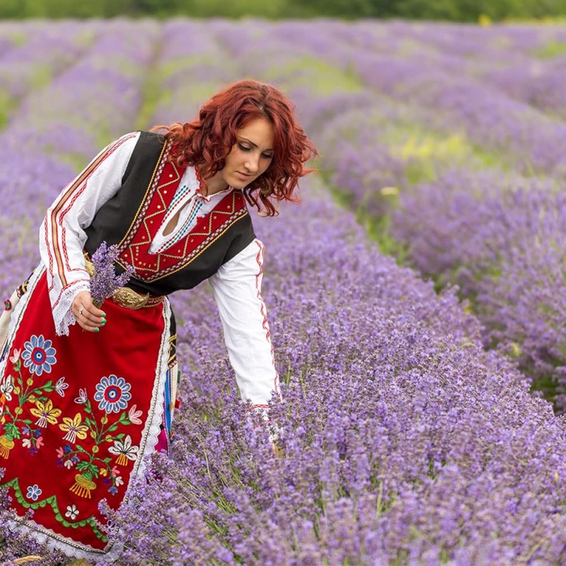 Lavender Scrub Manufacturer - Shea Butter Coconut Brightening