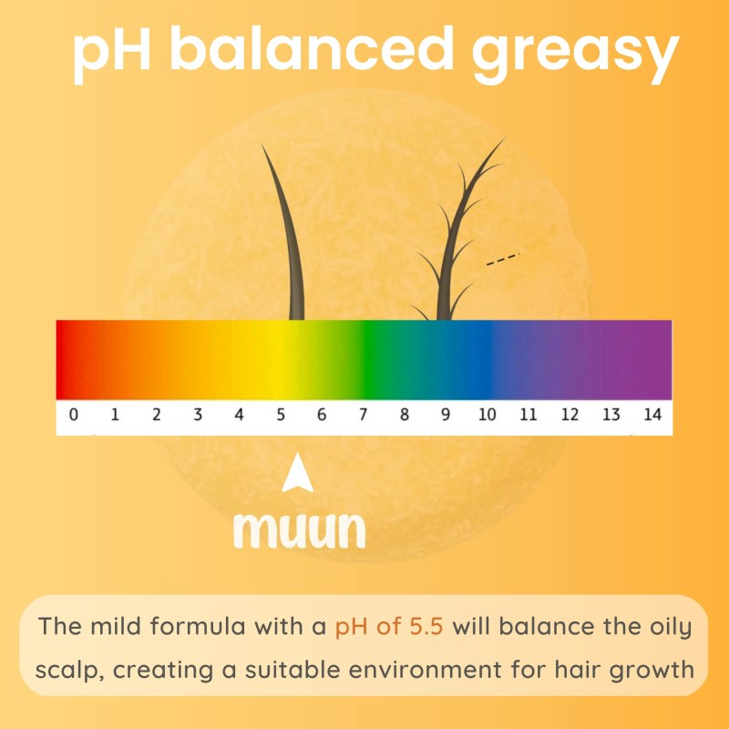 Ginger Shampoo Bar Supplier - Hair Moisturizing Repair