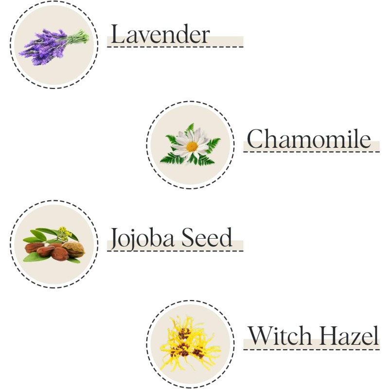 Room Spray Manufacturer - Home Luxury Perfume Refresh Energize Odor Fighting