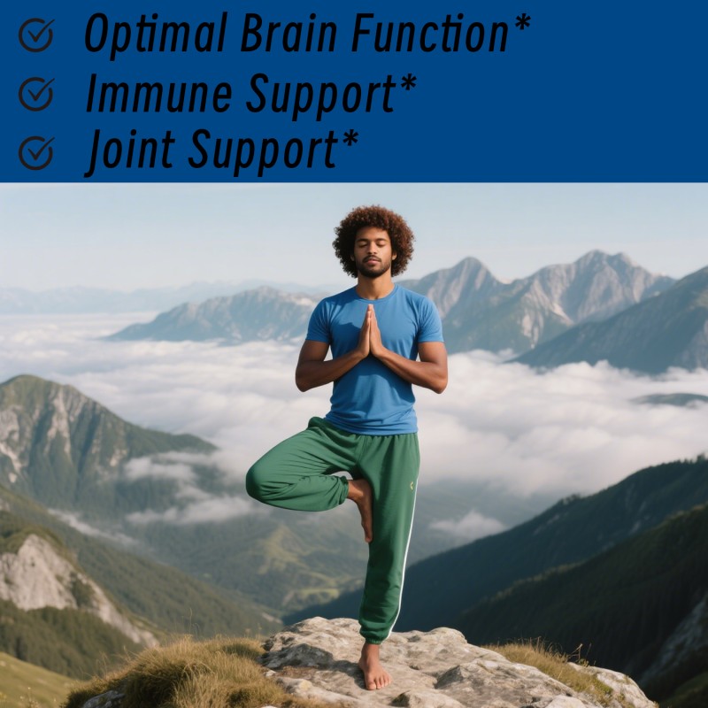 Shilajit Gold Gummies Factory - Factory Supply Himalayan Stamina Strength