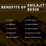 Himalayan Shilajit Resin Series