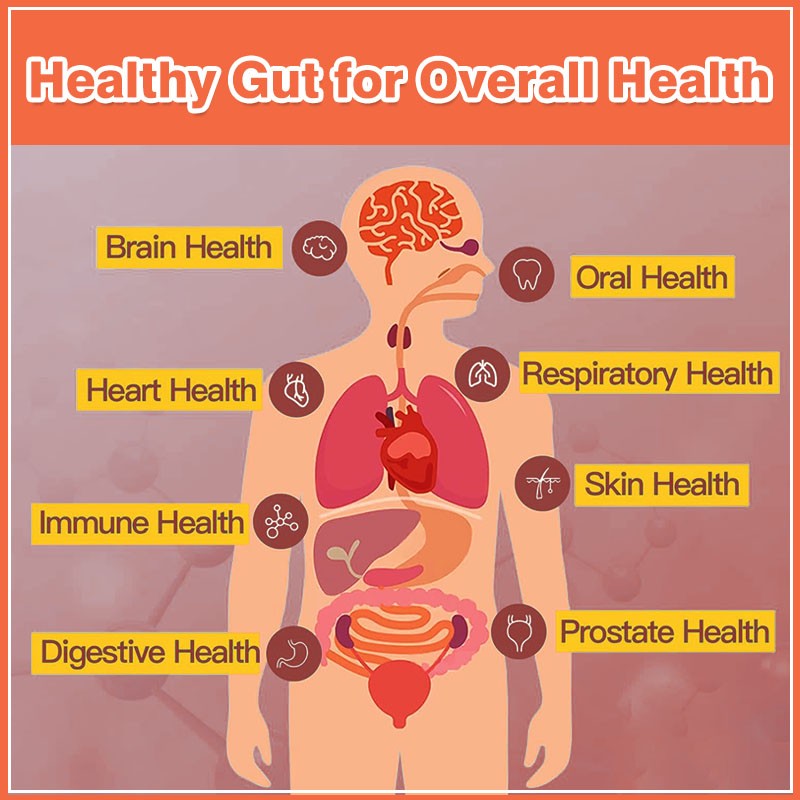Probiotic Tablets Factory - Factory Customization Constipation Digestive Men