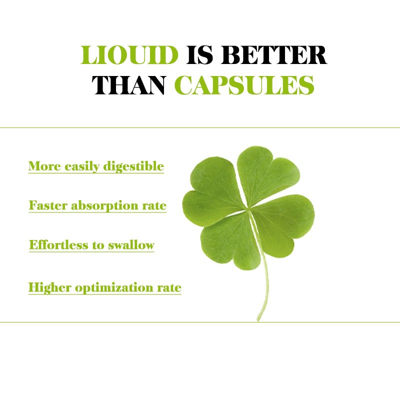 Alfalfa Liquid Drop Factory - Private Label Optimization Digestible Extract Liquid