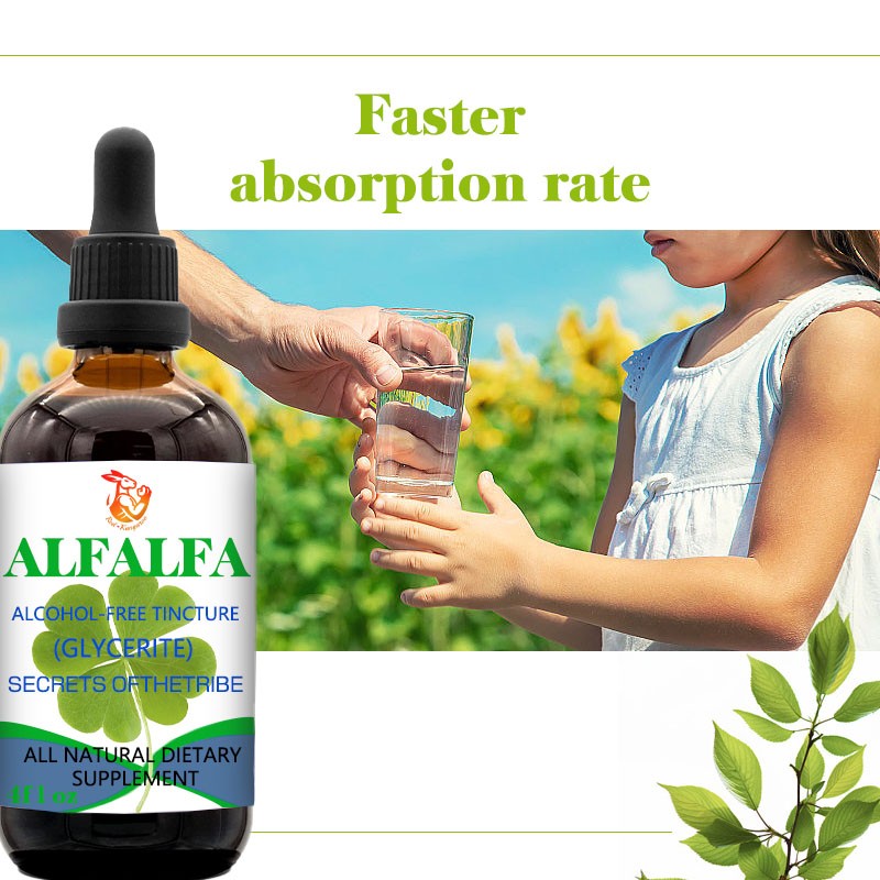 Alfalfa Liquid Drop Factory - Private Label Optimization Digestible Extract Liquid
