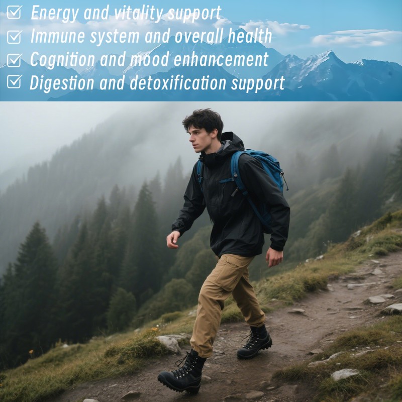 Shilajit Gummies Supplier - Supplement Manufacturer Energy Immune Ashwagandha