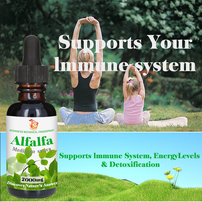 Alfalfa Drops Factory - OEM Factory Customized Immune Energy Detoxification