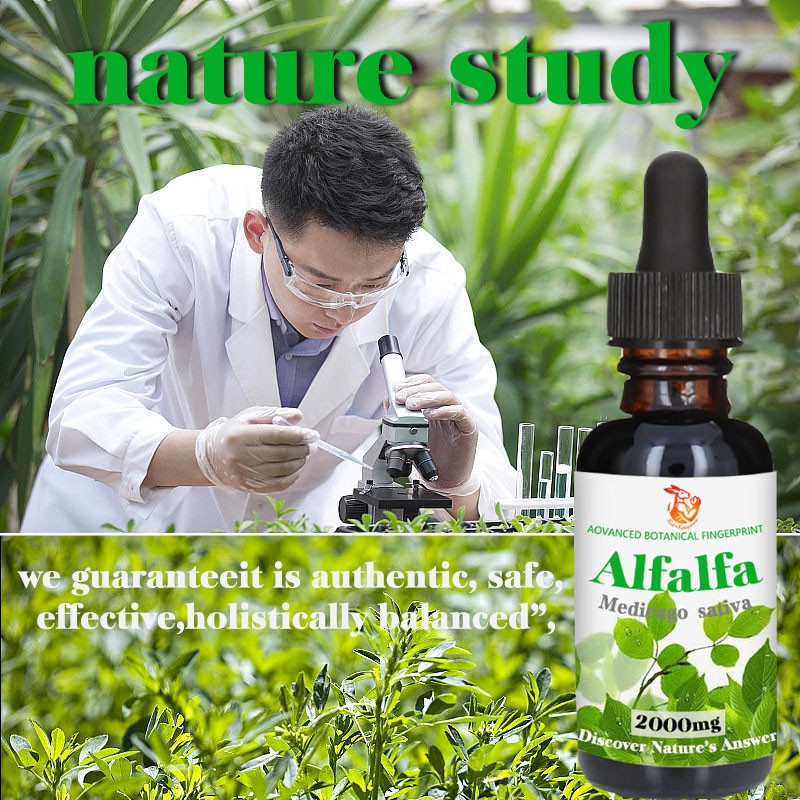 Alfalfa Drops Factory - OEM Factory Customized Immune Energy Detoxification