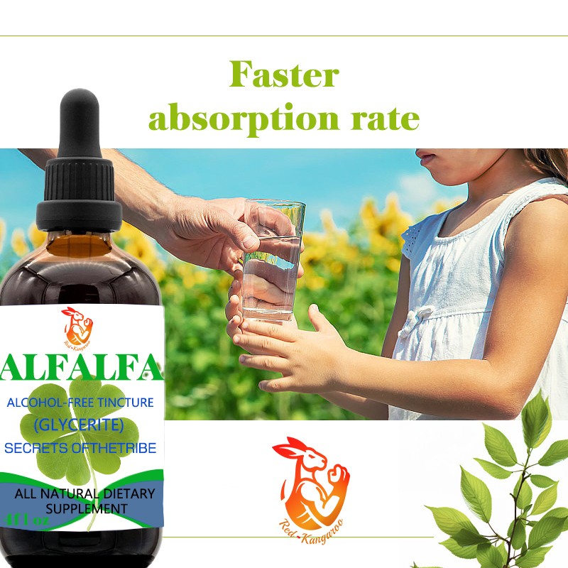 Alfalfa Drops Supplier - OEM Alcohol Free Herbal Tincture Faster Absorption