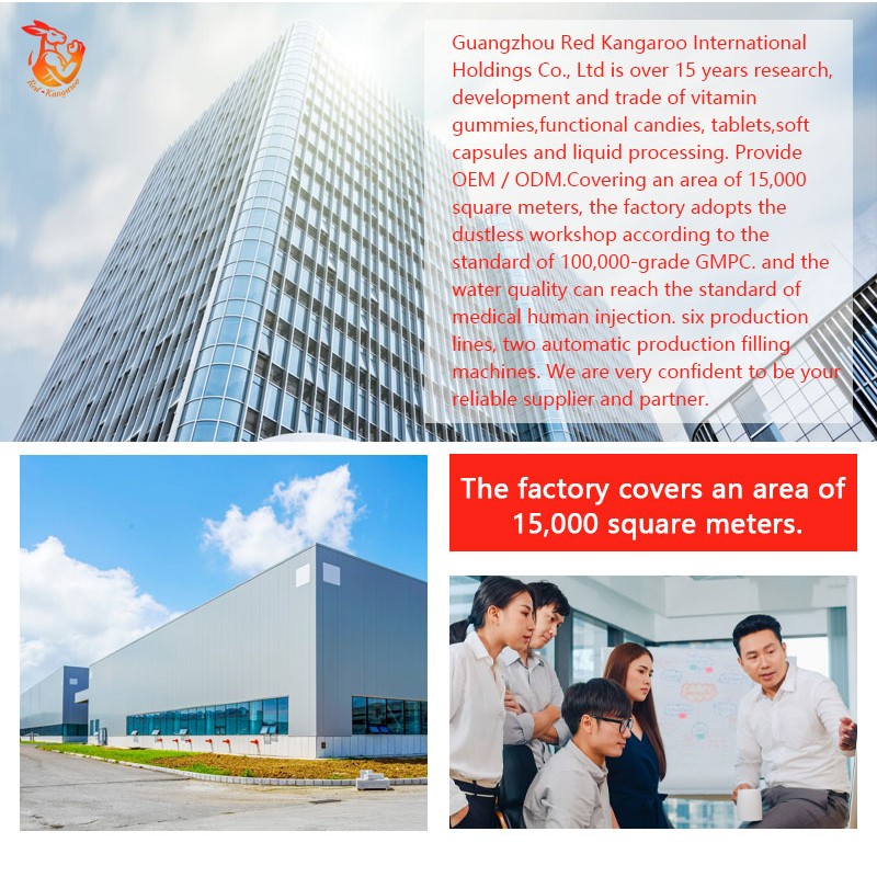 Yerba Mate Powder Factory - High Quality Instant Tea Gut Health Halal 330g