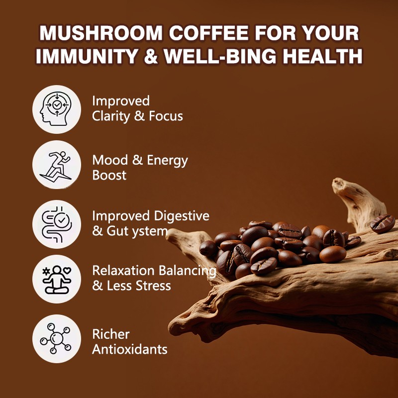 Energy Coffee Powder Manufacturer - RYZE Factory Price Mood Boosting Mushroom Blend