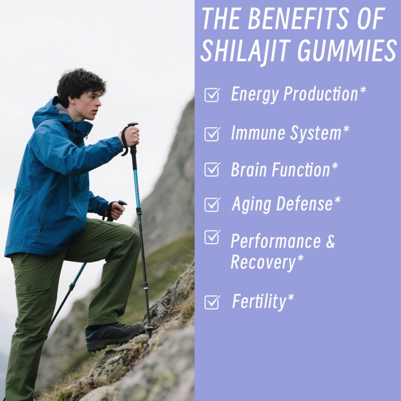 Shilajit Gummies Manufacturer - OEM ODM High Potency Ashwagandha Energy Vitality