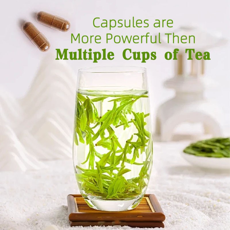 Green Tea Capsules Manufacturer - OEM 6000mg Strength Mental Focus Heart Health