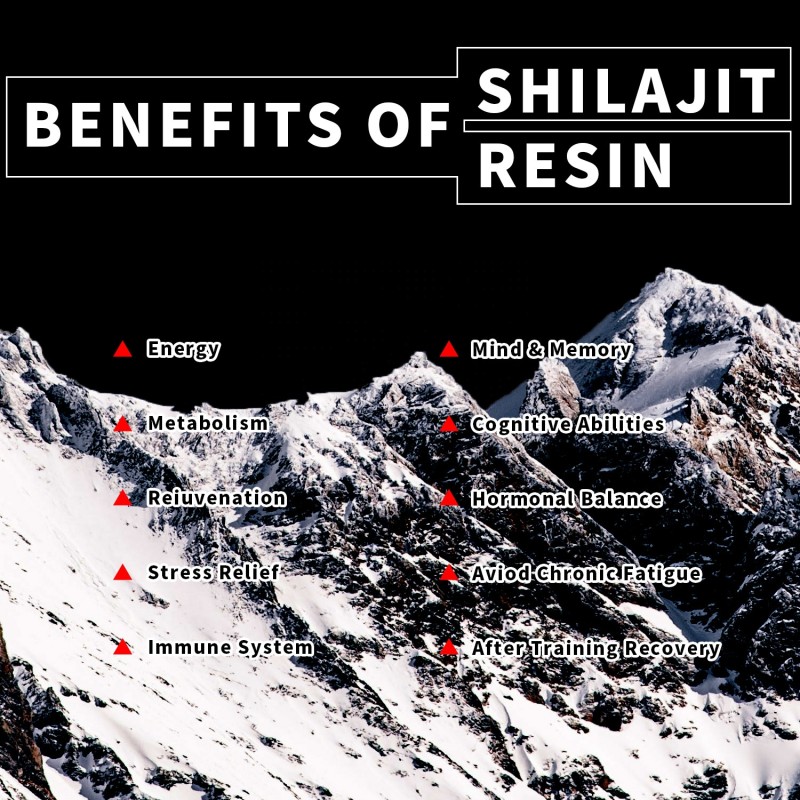 Himalayan Shilajit Resin Manufacturer - Factory Wholesales Metabolism Sports Nutrition