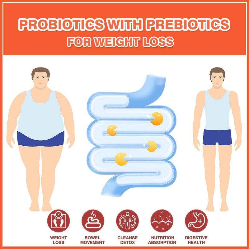 Probiotic Tablets Factory - Factory Customization Constipation Digestive Men