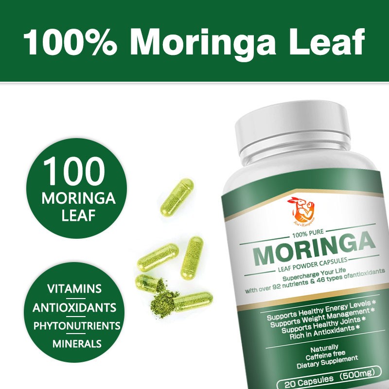 Moringa Leaf Capsules Factory - OEM Natural Green Antioxidant Energy Metabolism
