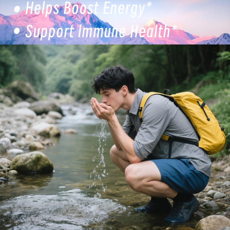 Shilajit Gummies Manufacturer - OEM ODM High Potency Ashwagandha Energy Vitality