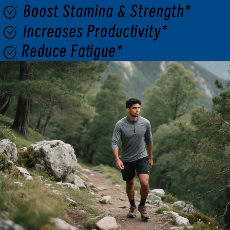 Shilajit Gold Gummies Factory - Factory Supply Himalayan Stamina Strength