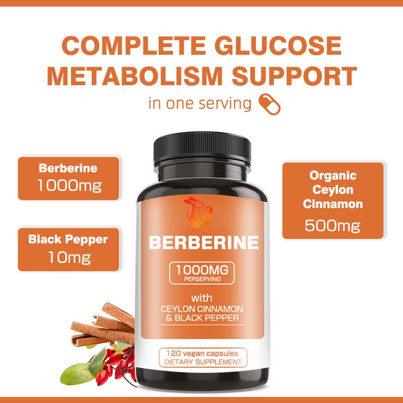 Berberine Capsules Supplier - Private Label Immune System Herbal Extract