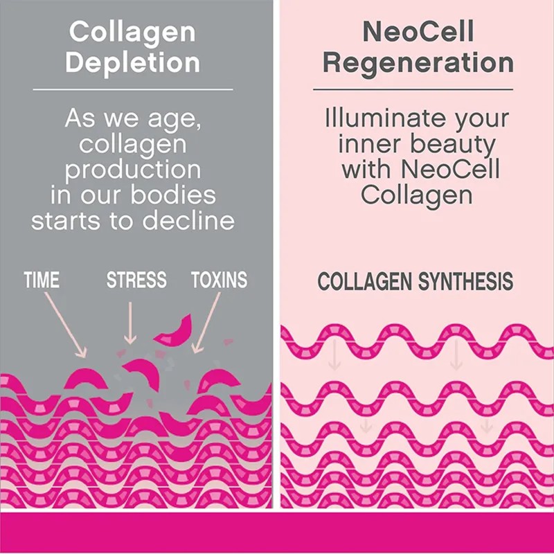 Collagen Tablets Factory - OEM Private Label Adult Beauty Skin Joints Hair