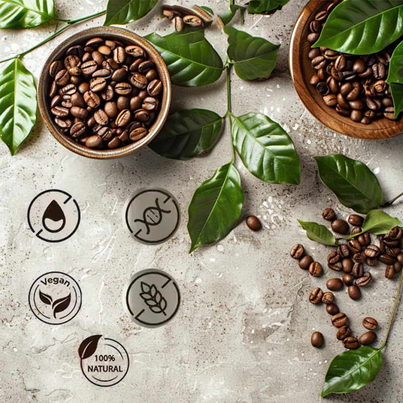 Energy Coffee Powder Manufacturer - RYZE Factory Price Mood Boosting Mushroom Blend