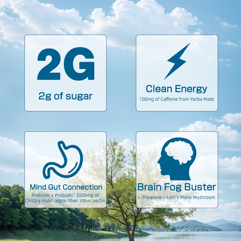 Yerba Mate Powder Supplier - Hot Sale OEM Low Sugar Refreshment Fatigue