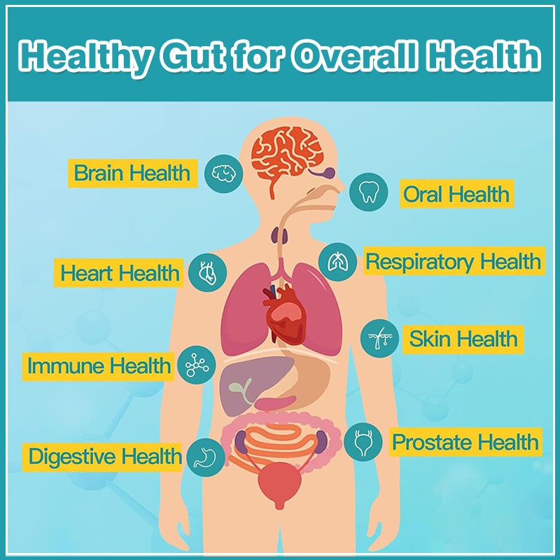 Men Probiotics Capsules Manufacturer - OEM Digestive Immune System Gut Health