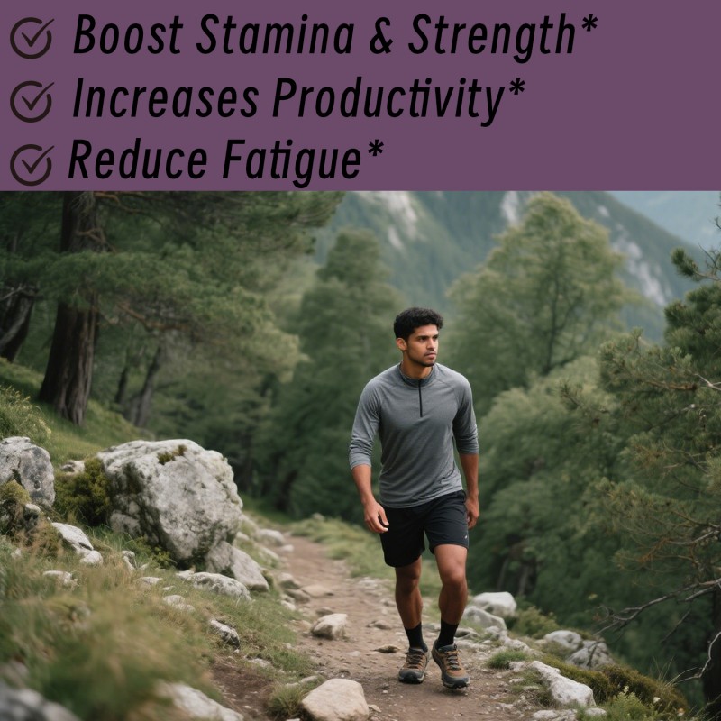 Shilajit Gold Gummies Factory - Factory Supply Stamina Strength Himalayan