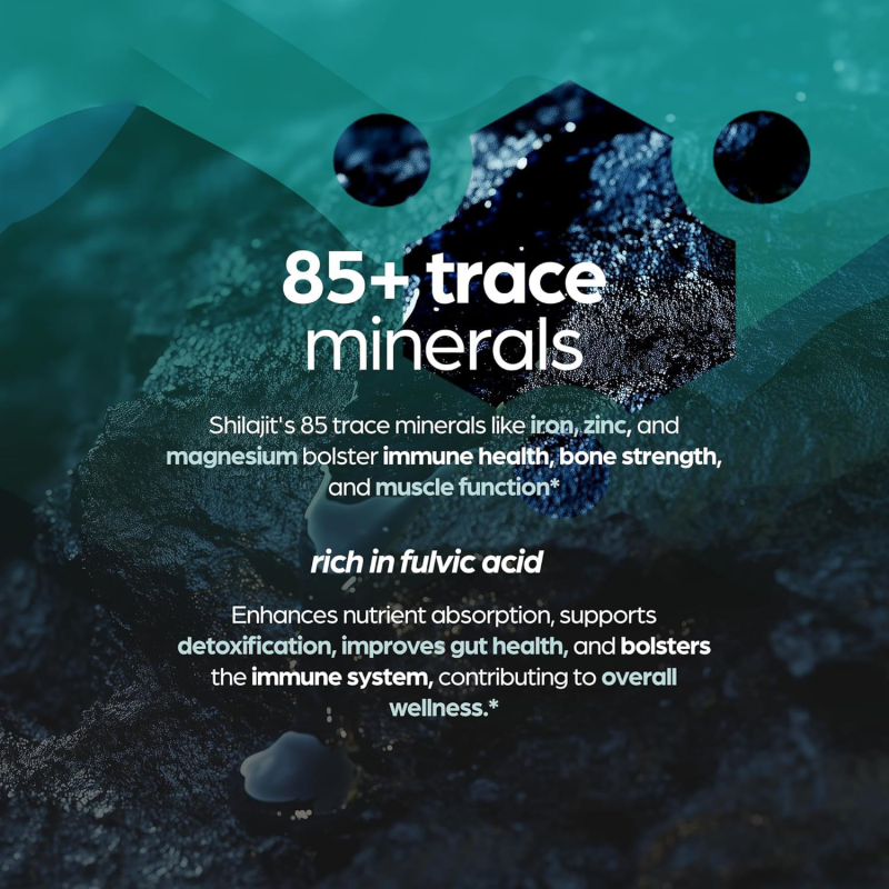 Shilajit Resin Supplier - Good Quality Healthy Metabolism 600mg Herbal