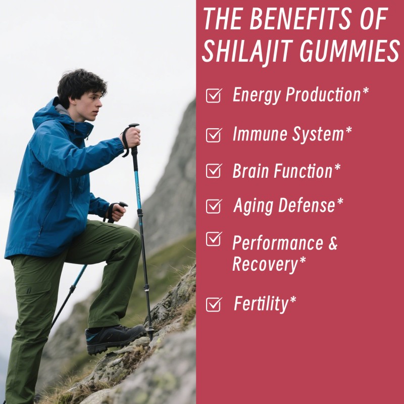 Shilajit Gold Gummies Manufacturer - Wholesale 1400mg Energy Vitality Support