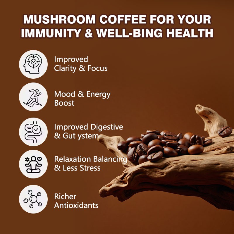 Black Instant Coffee Supplier - OEM Healthy Herbal Mushroom Digestion Gut Health