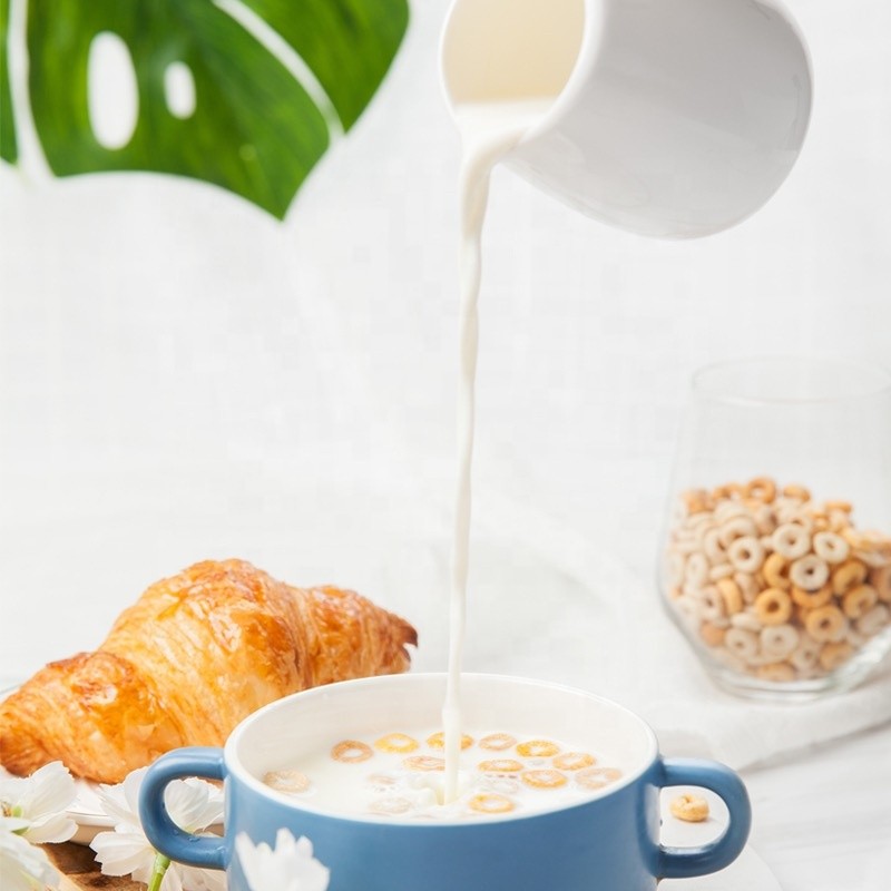 Wholesale Custom 25kg Bag Packing Non Dairy Creamer Milk Powder