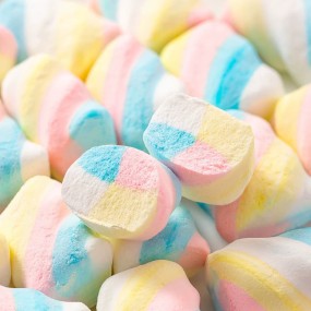 Marshmallow Freeze Dryer Wholesale Custom Freeze Dried Marshmallow