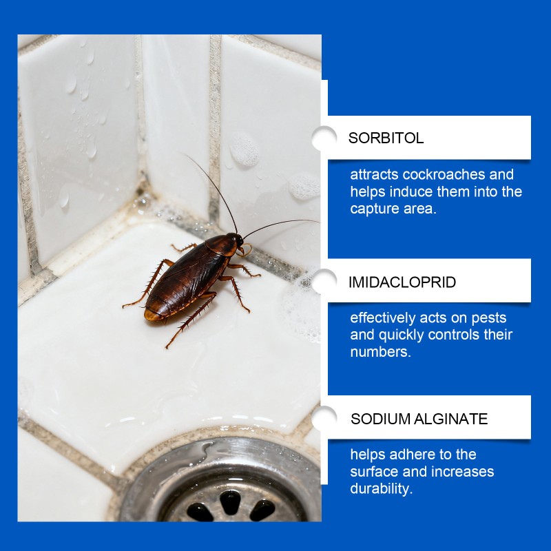 Cockroach Gel Bait Placement Box Household Cockroach Control Bait