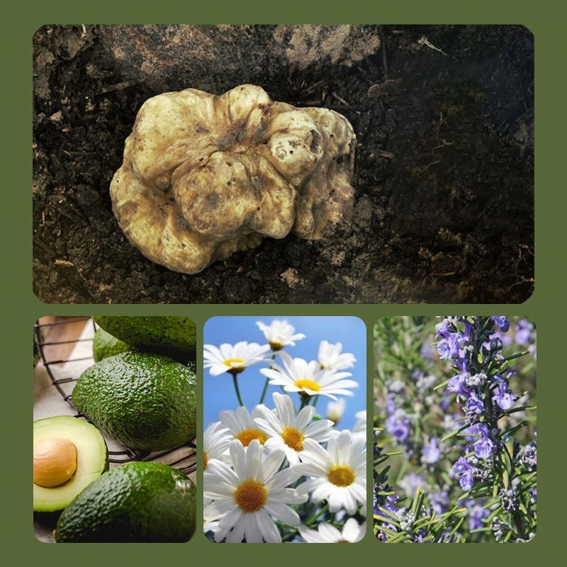 Skincare Kit Manufacturer - 7 Pcs White Truffle Yeast Natural Moisturizing