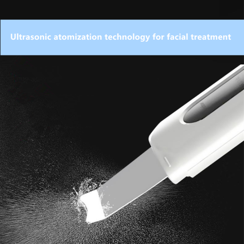 Facial Treatment Device Factory - Sisintime Portable At-home Personal