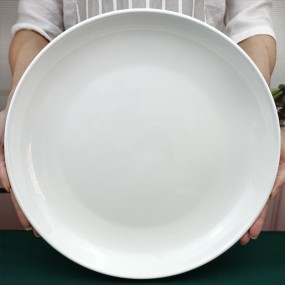 Porcelain Plate Supplier - Eco-Friendly 10 Inch Round White Household