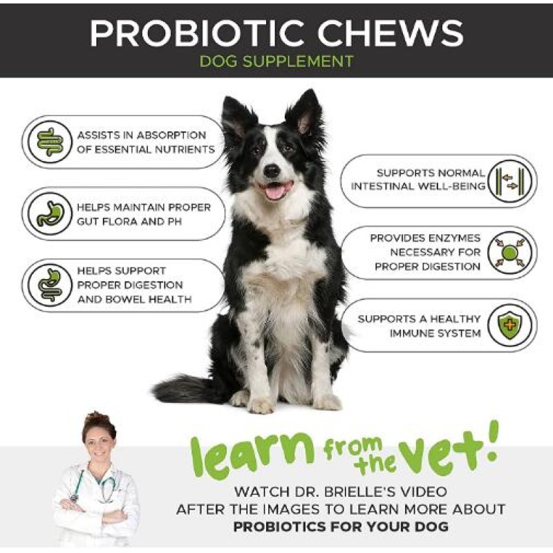 Pet Supplements Factory - OEM Private Label Probiotics Chews Cats Dogs
