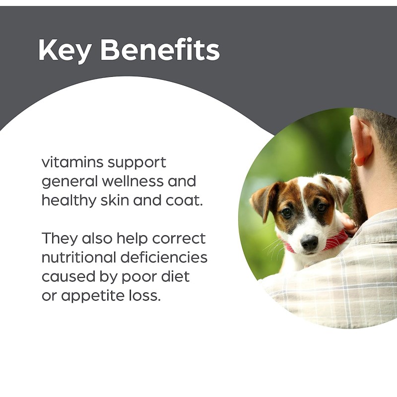 Probiotic Chews Manufacturer - ODM Salmon Oil Dogs Cats Skin Coat