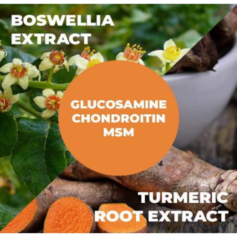 Glucosamine Capsules Manufacturer - with Chondroitin Turmeric MSM Joint