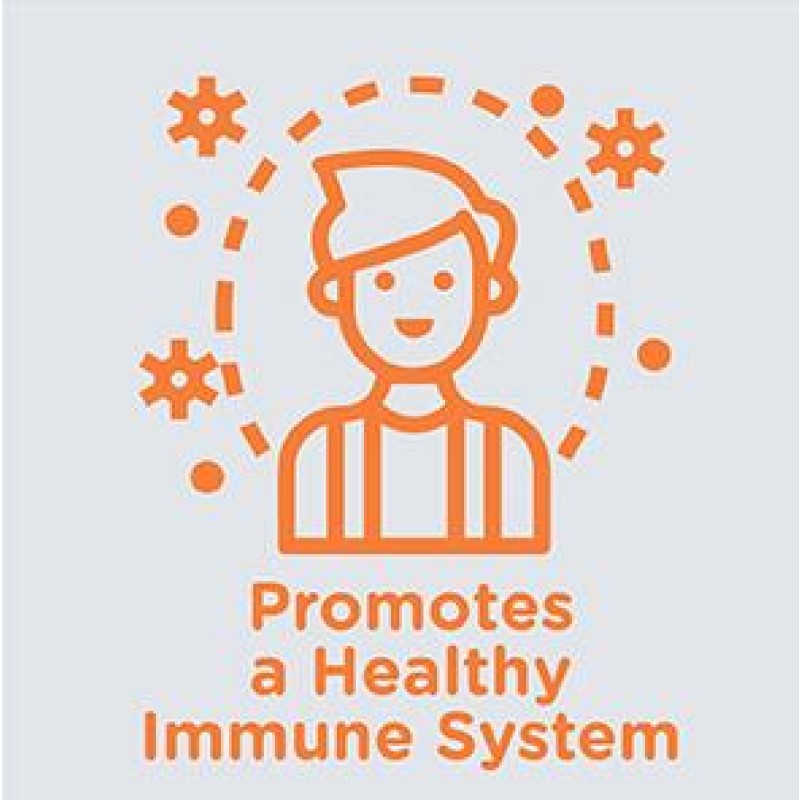 Kids Tablets Supplier - GMP Certified Immunity with Vitamin C D Zinc