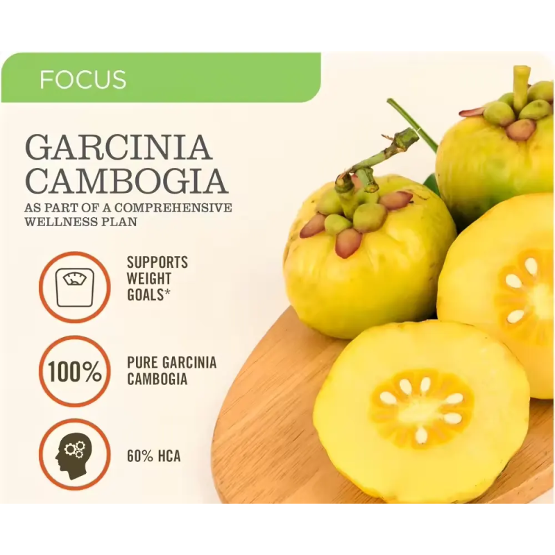 Garcinia Cambogia Capsules Supplier - Private Label Herbal Slimming Pills
