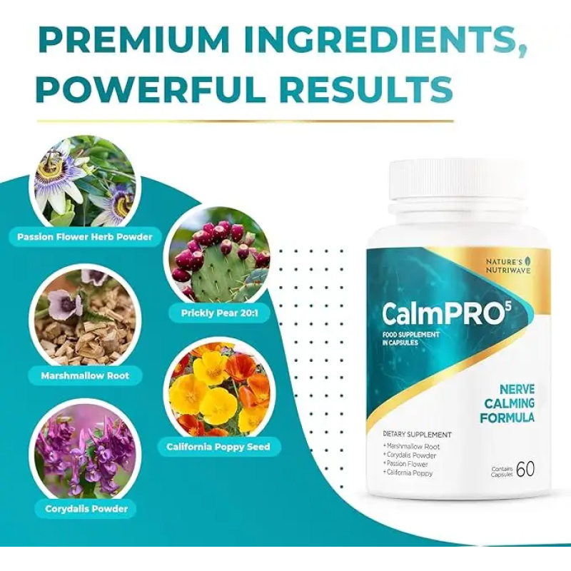 Nerve Health Capsules Supplier - Herbal Extract Vitamin-Infused Formula