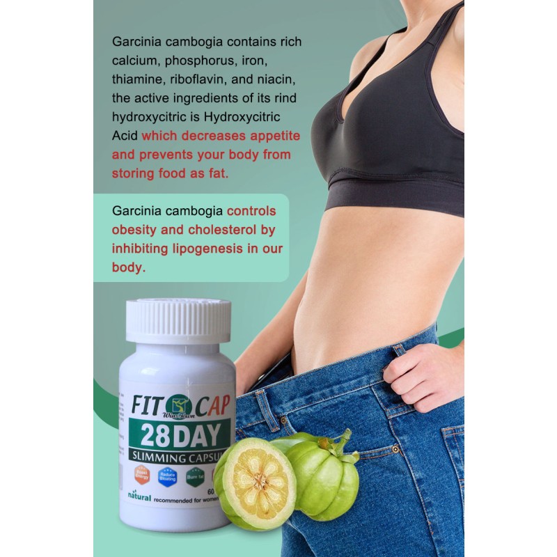 Weight Loss Capsules Factory - OEM 28 Day Tummy Fat Reduction