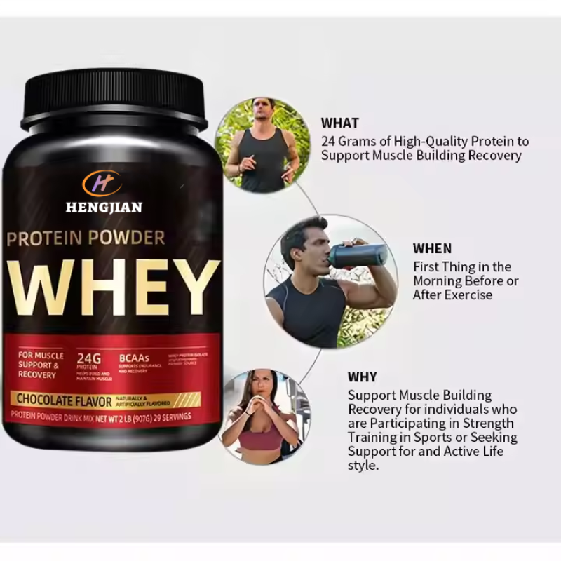 Whey Protein Powder Supplier - Gold Standard Chocolate Bulk Nutrition