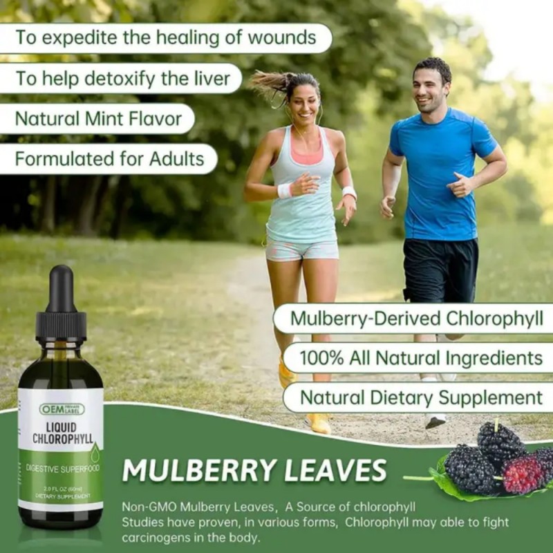 Chlorophyll Drops Supplier - OEM Organic Natural Energy Supplement