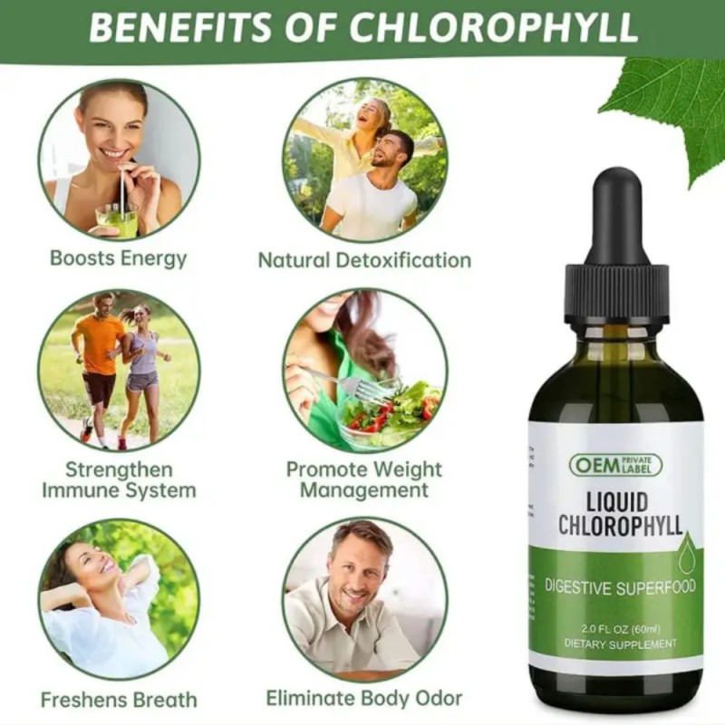 Chlorophyll Drops Supplier - OEM Organic Natural Energy Supplement