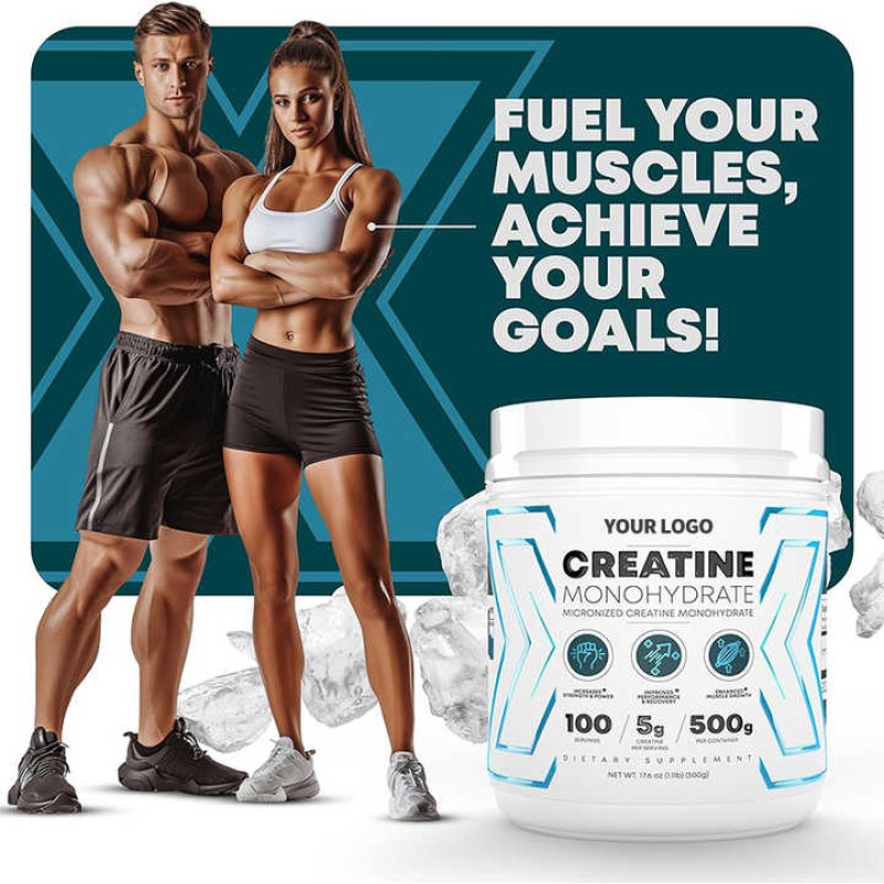 Creatine Monohydrate Powder Factory - OEM 500g Pure Nutrient Rich