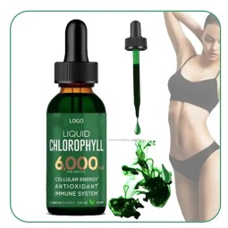 Chlorophyll Liquid Drink Manufacturer - Private Label Organic 500ml